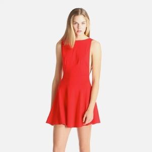 Red American Apparel Ponte Sleeveless Skater Dress